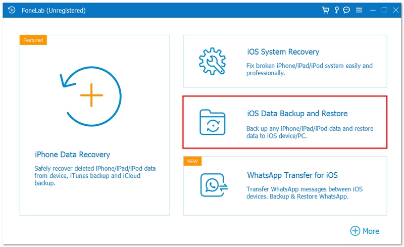 Seleccione Copia de seguridad y restauración de datos de iOS