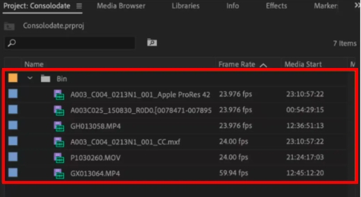 Import The Project