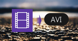 Cómo convertir H.264 a AVI