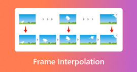 Interpolación de cuadros