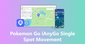 Pokemon Go Ianygo Single Spot Movement
