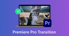 Transición a Premiere Pro