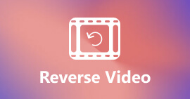 Revertir un video