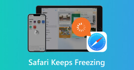 Safari sigue congelado