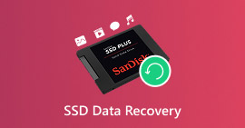 Recuperación SSD