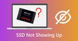 SSD no aparece