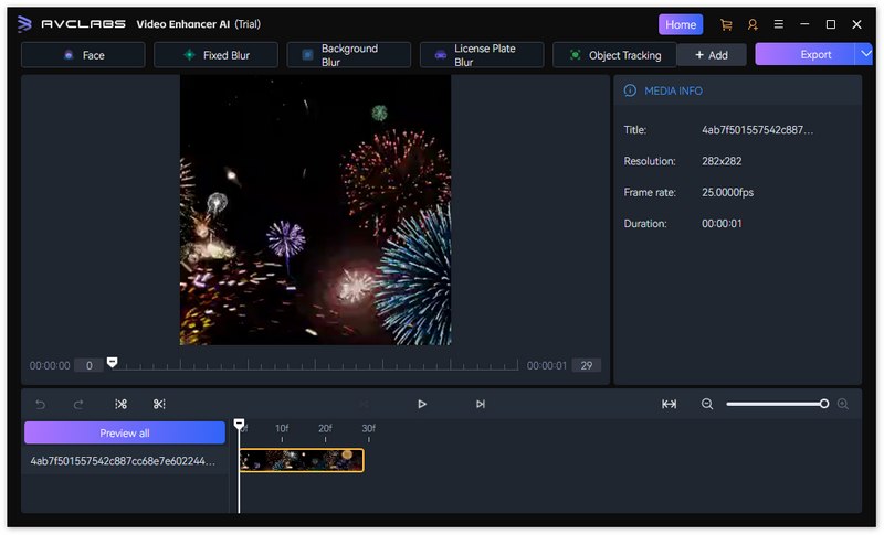 Modelo de IA de desenfoque de video de Avclabs