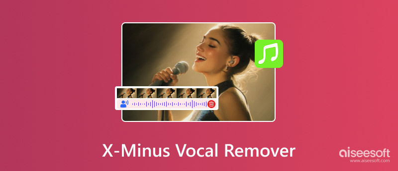 Eliminador de voz X Minus