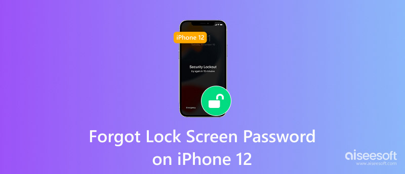 Olvidé la contraseña del iPhone 12